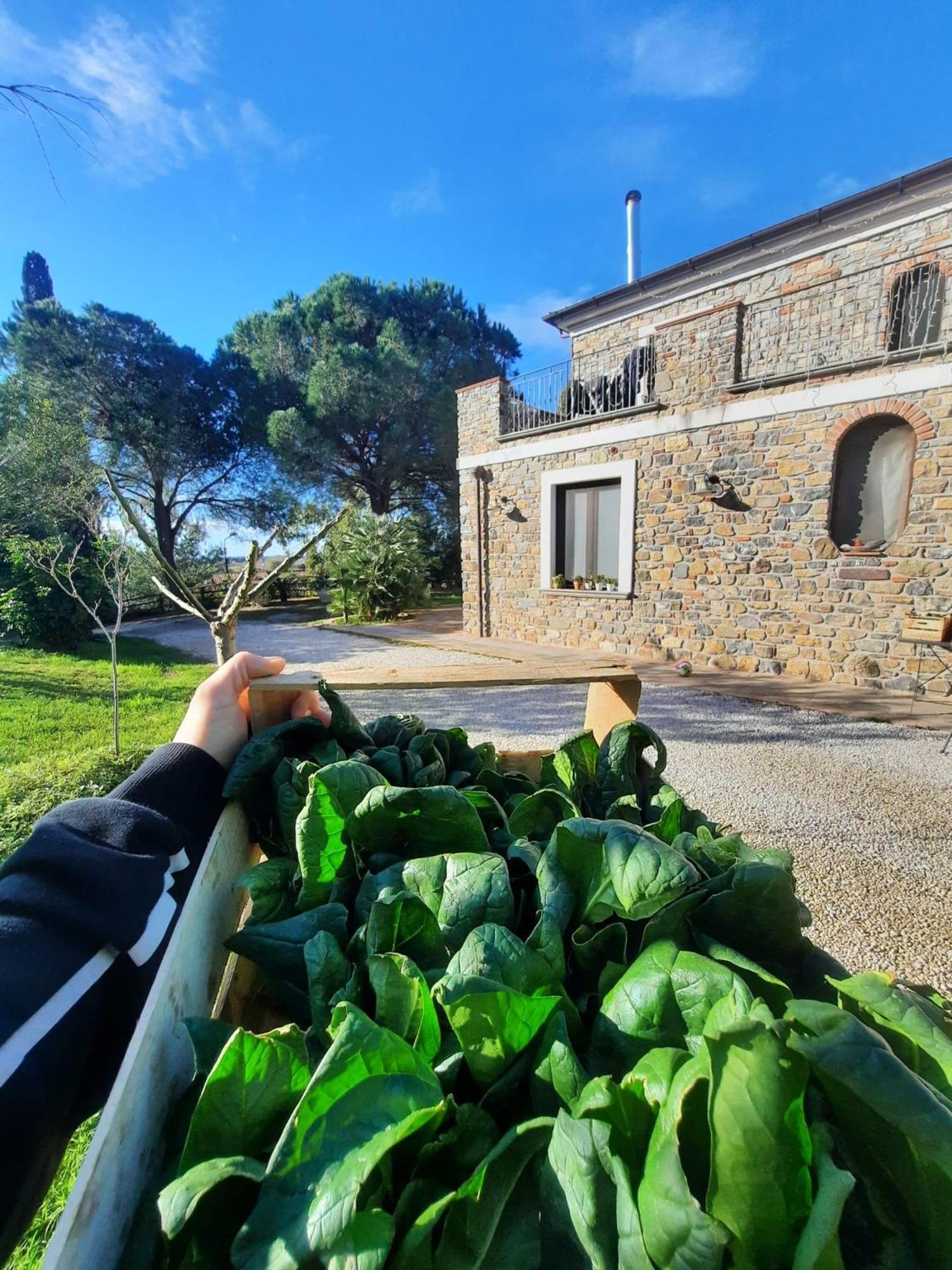 Farm stay Anna Dei Sapori *